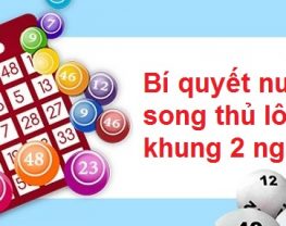 bí kíp nuôi song thủ lô khung 2 ngày