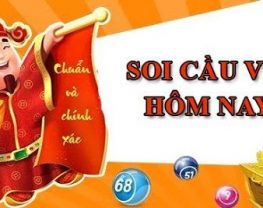 Sử dụng kết quả phân tích hệ thống